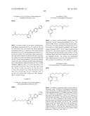 PPAR AGONISTS diagram and image