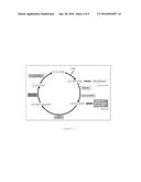 OCTAHYDROCYCLOPENTAPYRROLES, THEIR PREPARATION AND USE diagram and image