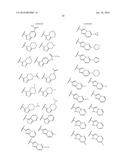 OCTAHYDROCYCLOPENTAPYRROLES, THEIR PREPARATION AND USE diagram and image