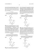 OCTAHYDROCYCLOPENTAPYRROLES, THEIR PREPARATION AND USE diagram and image