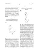 OCTAHYDROCYCLOPENTAPYRROLES, THEIR PREPARATION AND USE diagram and image