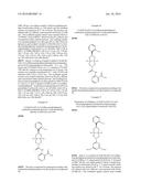 OCTAHYDROCYCLOPENTAPYRROLES, THEIR PREPARATION AND USE diagram and image