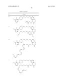 Process for Synthesizing Oxidized Lactam Compounds diagram and image