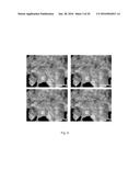 Inhibitors of Protein Phosphatase-1 and Uses Thereof diagram and image