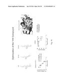 Inhibitors of Protein Phosphatase-1 and Uses Thereof diagram and image