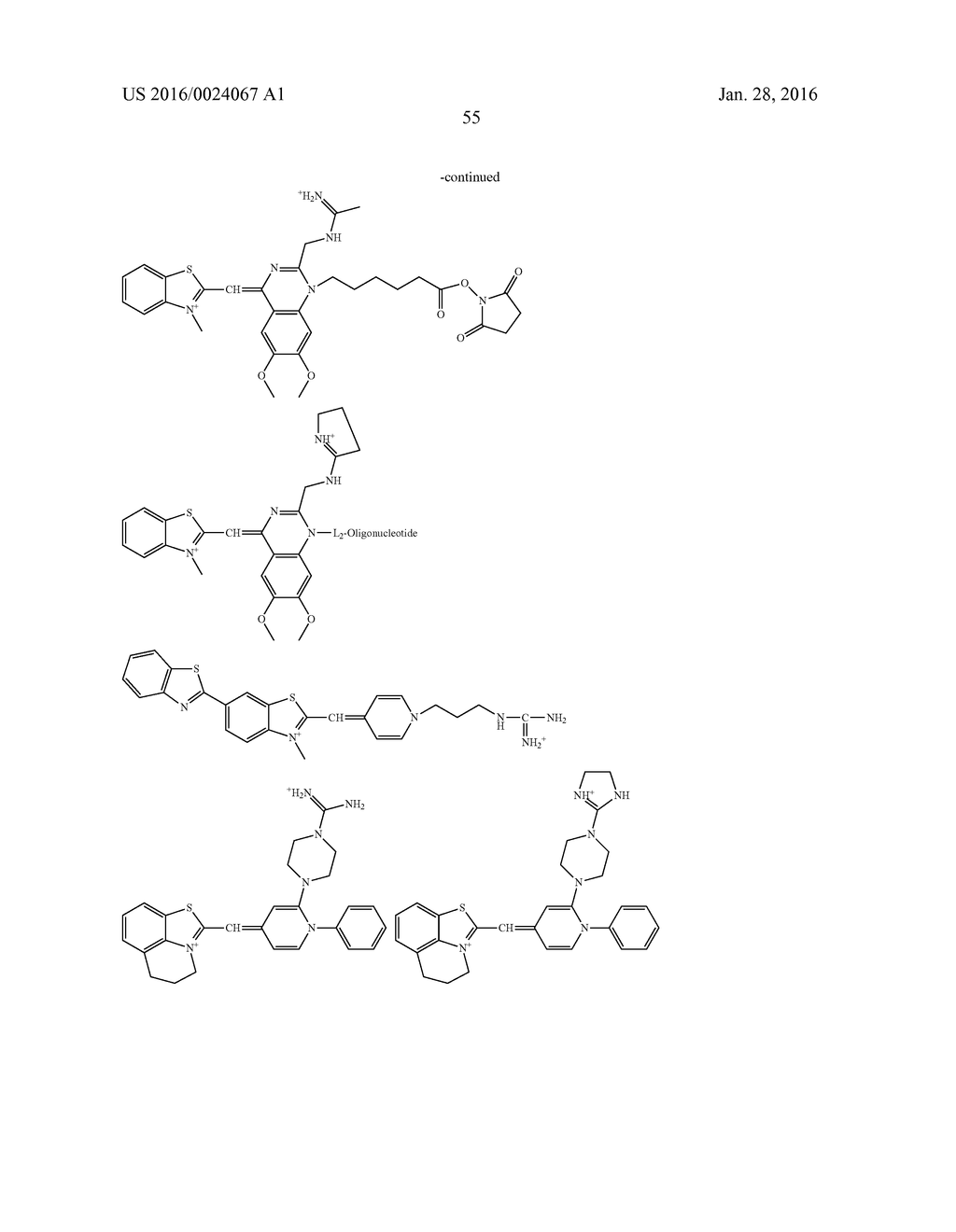 FLUORESCENT COMPOUNDS AND USES THEREOF - diagram, schematic, and image 72