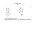 PERYLENEMONOIMIDE AND NAPHTHALENEMONOIMIDE DERIVATIVES AND THEIR USE IN     DYE-SENSITIZED SOLAR CELLS diagram and image