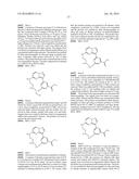 MACROCYCLIC RIP2 KINASE INHIBITORS diagram and image