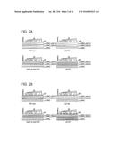 PYRIMIDO-DIAZEPINONE COMPOUNDS AND METHODS OF TREATING DISORDERS diagram and image