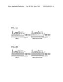 PYRIMIDO-DIAZEPINONE COMPOUNDS AND METHODS OF TREATING DISORDERS diagram and image