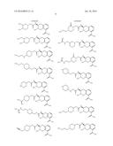 BETA-LACTAMASE INHIBITORS diagram and image