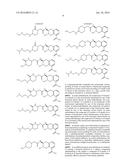 BETA-LACTAMASE INHIBITORS diagram and image