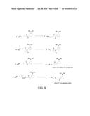 BIOREVERSIBLE BORONATES FOR DELIVERY OF MOLECULES INTO CELLS diagram and image