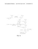 BIOREVERSIBLE BORONATES FOR DELIVERY OF MOLECULES INTO CELLS diagram and image