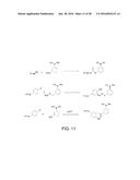 BIOREVERSIBLE BORONATES FOR DELIVERY OF MOLECULES INTO CELLS diagram and image