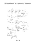 BIOREVERSIBLE BORONATES FOR DELIVERY OF MOLECULES INTO CELLS diagram and image