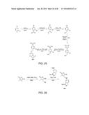 BIOREVERSIBLE BORONATES FOR DELIVERY OF MOLECULES INTO CELLS diagram and image