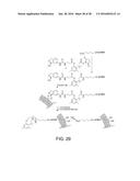 BIOREVERSIBLE BORONATES FOR DELIVERY OF MOLECULES INTO CELLS diagram and image