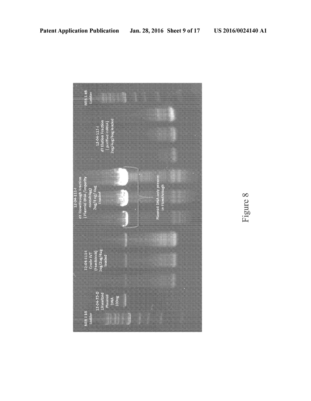 RIBONUCLEIC ACID PURIFICATION - diagram, schematic, and image 10