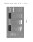 RIBONUCLEIC ACID PURIFICATION diagram and image