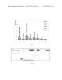 AN EPITOPE AND ITS USE diagram and image