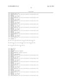 BIOCOMPATIBLE PROTEIN, BIOCOMPATIBLE PROTEIN GEL AND BIOCOMPATIBLE     CONDUCTING PROTEIN GEL COMPRISING THE PROTEIN AND METHOD FOR PREPARING     THE SAME diagram and image