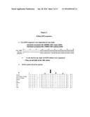 MODIFIED ANIMAL ERYTHROPOIETIN POLYPEPTIDES AND THEIR USES diagram and image