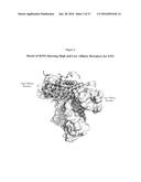 MODIFIED ANIMAL ERYTHROPOIETIN POLYPEPTIDES AND THEIR USES diagram and image