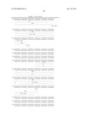 MODIFIED ANIMAL ERYTHROPOIETIN POLYPEPTIDES AND THEIR USES diagram and image