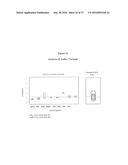 MODIFIED ANIMAL ERYTHROPOIETIN POLYPEPTIDES AND THEIR USES diagram and image