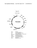 MODIFIED ANIMAL ERYTHROPOIETIN POLYPEPTIDES AND THEIR USES diagram and image