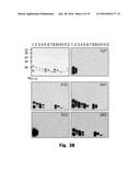 Novel Epitope for Switching to TH1 Cell and Use Thereof diagram and image