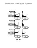 Novel Epitope for Switching to TH1 Cell and Use Thereof diagram and image