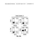 Novel Epitope for Switching to TH1 Cell and Use Thereof diagram and image