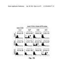 Novel Epitope for Switching to TH1 Cell and Use Thereof diagram and image