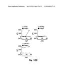 Novel Epitope for Switching to TH1 Cell and Use Thereof diagram and image