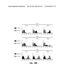 Novel Epitope for Switching to TH1 Cell and Use Thereof diagram and image