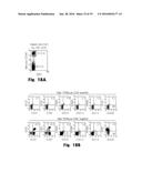 Novel Epitope for Switching to TH1 Cell and Use Thereof diagram and image