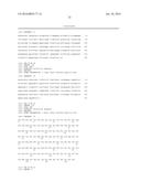 Novel Epitope for Switching to TH1 Cell and Use Thereof diagram and image