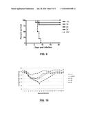 HUMAN BINDING MOLECULES CAPABLE OF NEUTRALIZING INFLUENZA VIRUS H5N1 AND     USES THEREOF diagram and image