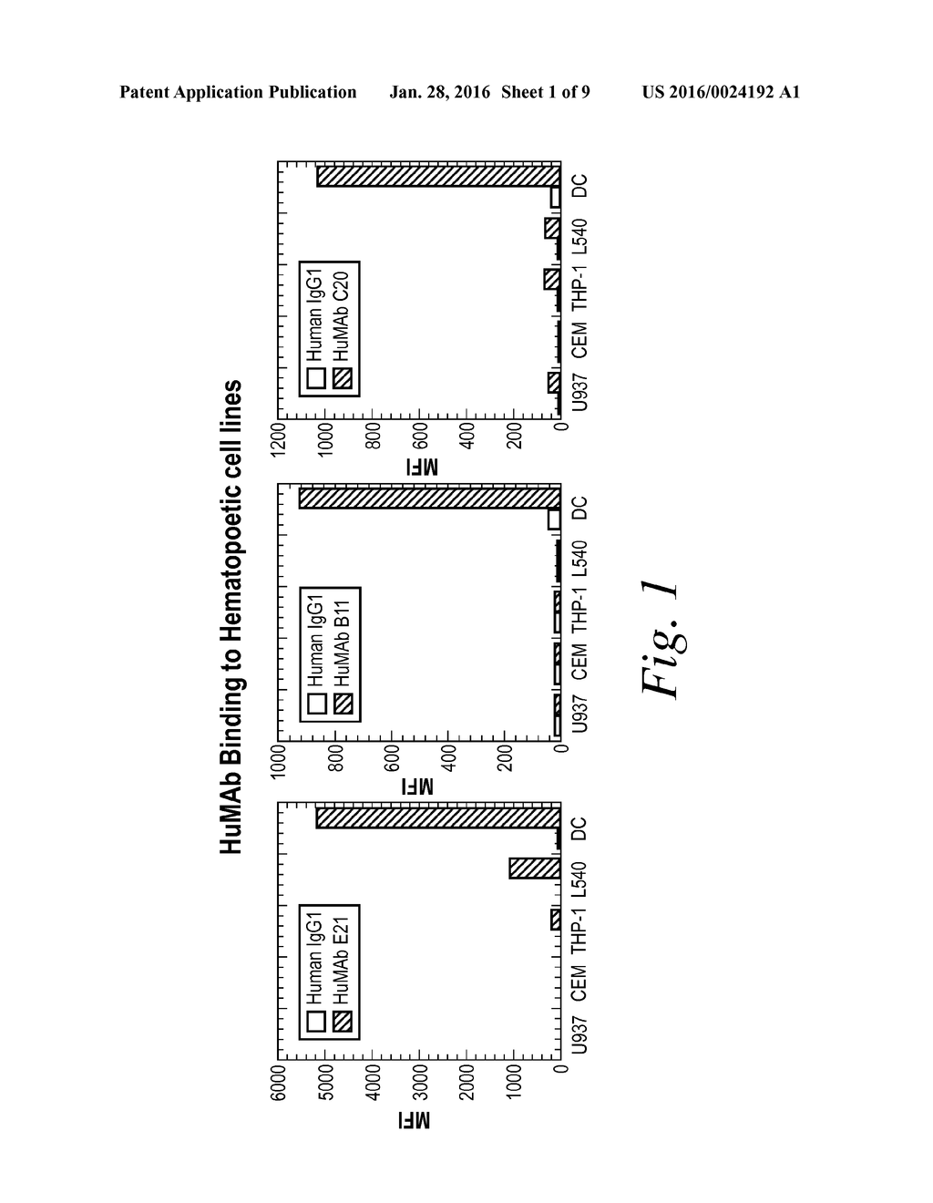 MOLECULAR CONJUGATES COMPRISING HUMAN MONOCLONAL ANTIBODIES TO DENDRITIC     CELLS - diagram, schematic, and image 02