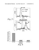 MOLECULAR CONJUGATES COMPRISING HUMAN MONOCLONAL ANTIBODIES TO DENDRITIC     CELLS diagram and image