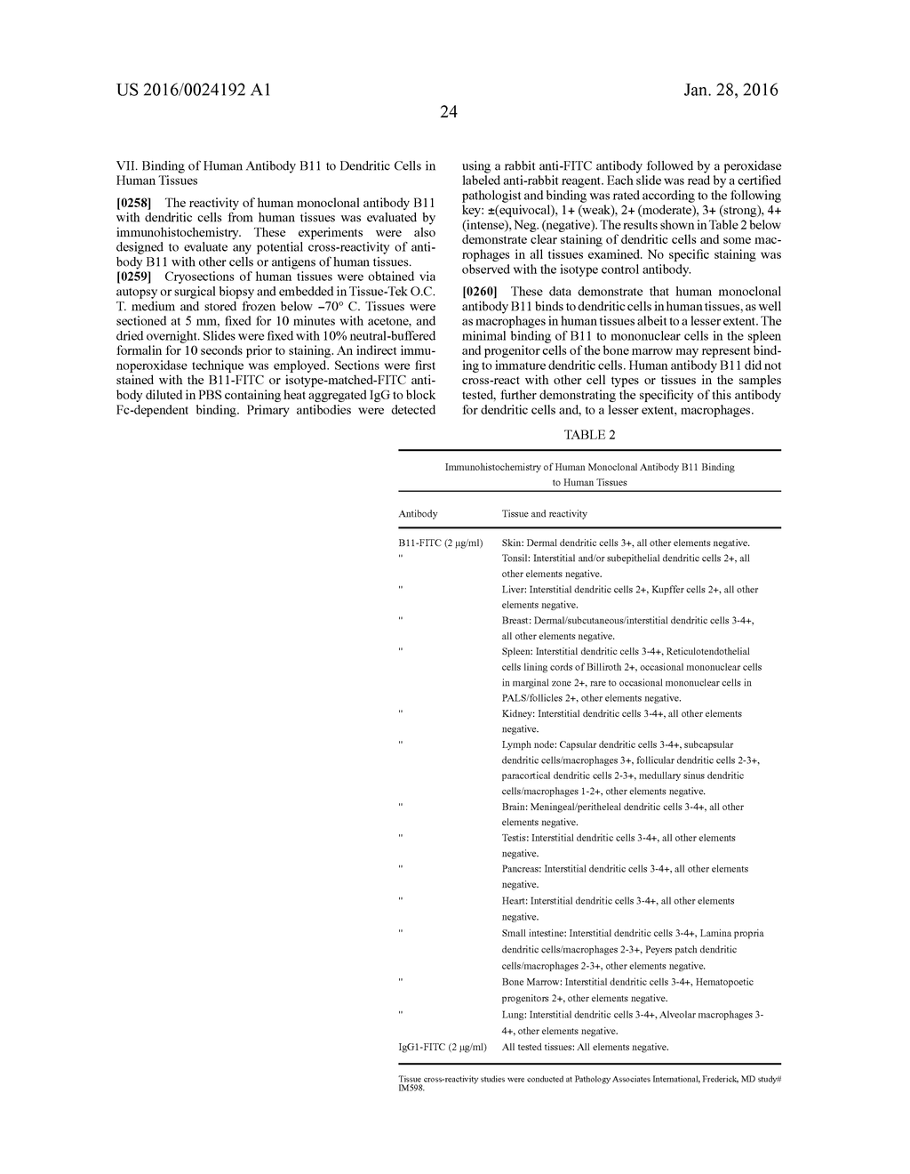 MOLECULAR CONJUGATES COMPRISING HUMAN MONOCLONAL ANTIBODIES TO DENDRITIC     CELLS - diagram, schematic, and image 34