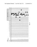 ANTI-TAU ANTIBODIES AND METHODS OF USE diagram and image