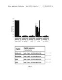 ANTI-TAU ANTIBODIES AND METHODS OF USE diagram and image