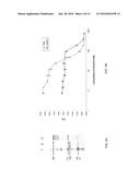 CONNECTIVE TISSUE GROWTH FACTOR ANTIBODIES diagram and image