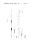 HUMAN MONOCLONAL ANTIBODIES THAT BIND INSULIN-LIKE GROWTH FACTOR (IGF) I     AND II diagram and image