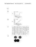HUMAN MONOCLONAL ANTIBODIES THAT NEUTRALIZE BIOACTIVITY OF GRANULOCYTE     MACROPHAGE COLONY-STIMULATING FACTOR AND METHODS AND USES THEREOF diagram and image