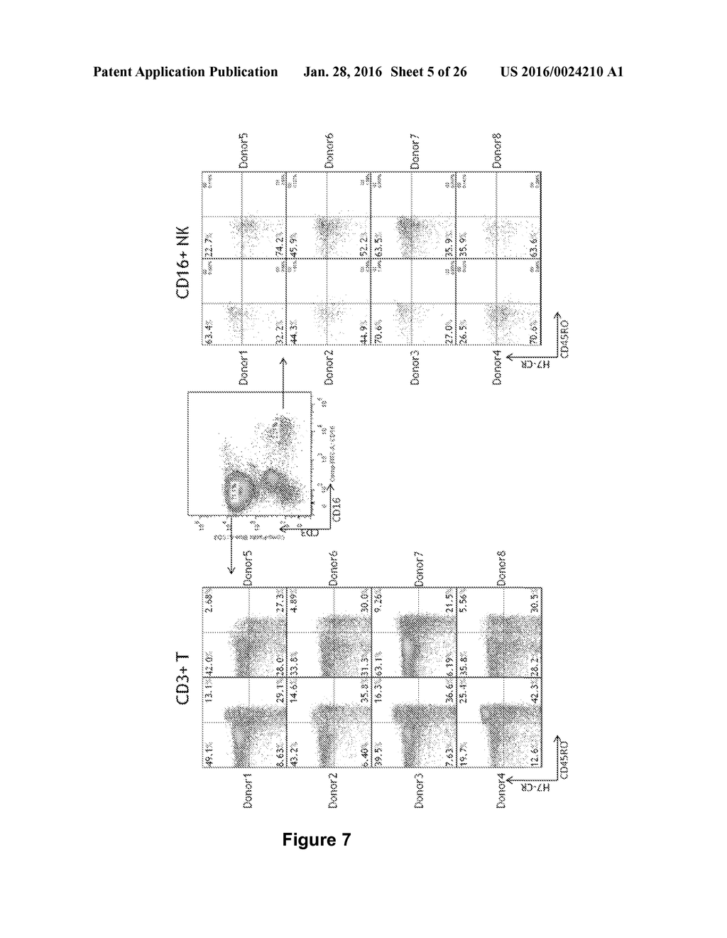 ANTI-H7CR ANTIBODIES - diagram, schematic, and image 06