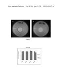 Active Phage-Based Inks, Methods of Printing on Materials and Phage-Based     Bioactive diagram and image